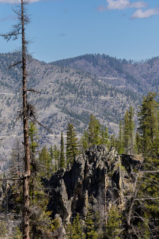 Lolo Peak Shadows, Lolo, MT 59847 photo 59