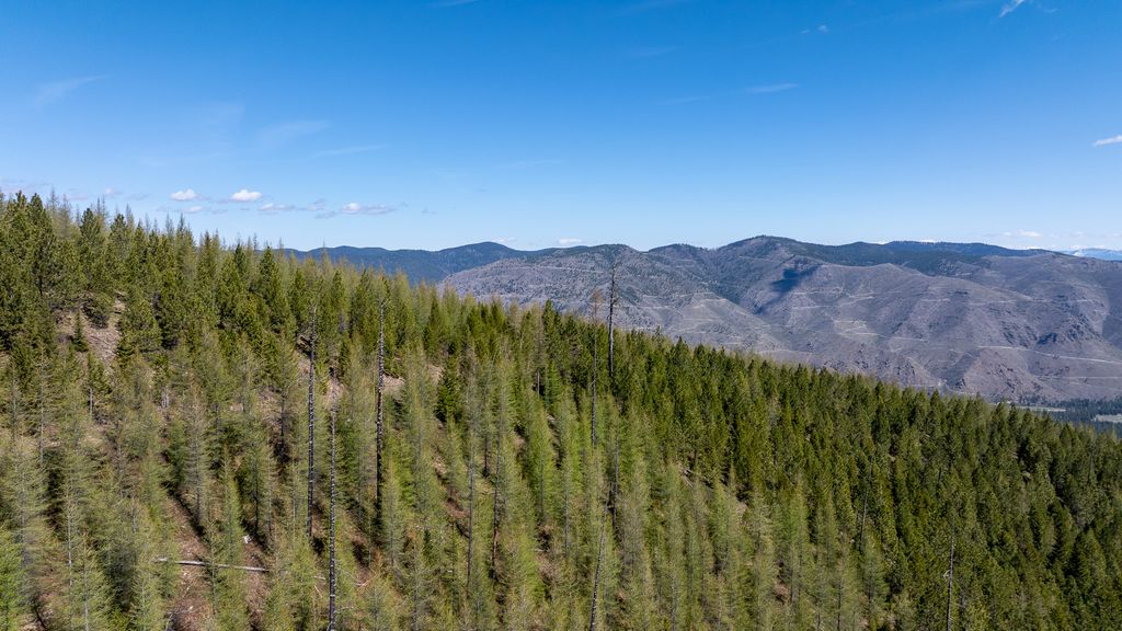 Lolo Peak Shadows, Lolo, MT 59847 photo 63