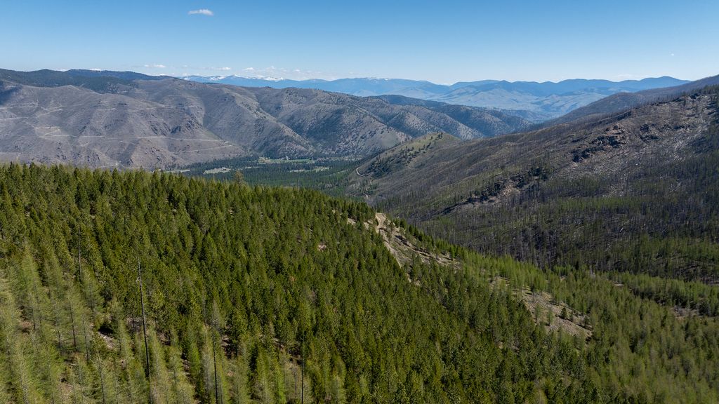 Lolo Peak Shadows, Lolo, MT 59847 photo 64