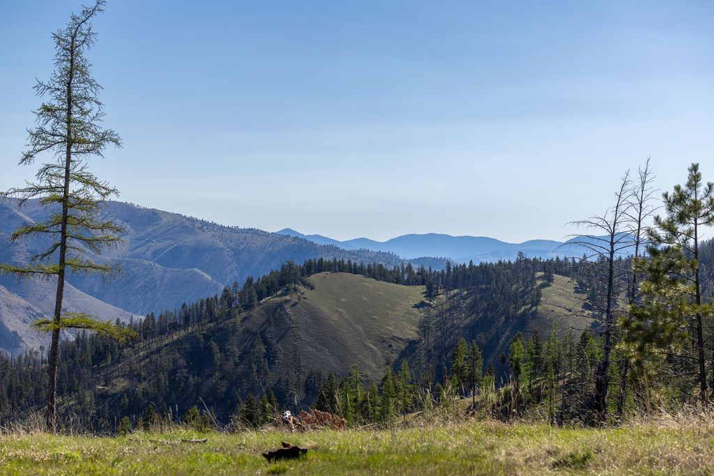 Lolo Peak Shadows, Lolo, MT 59847 photo 65