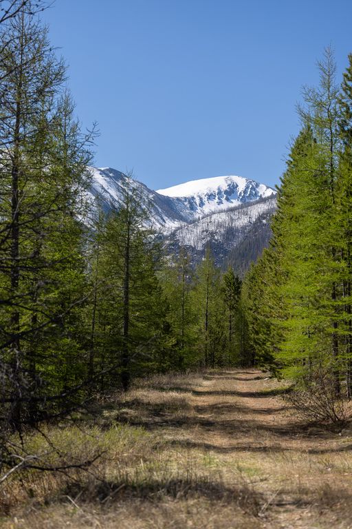 Lolo Peak Shadows, Lolo, MT 59847 photo 67
