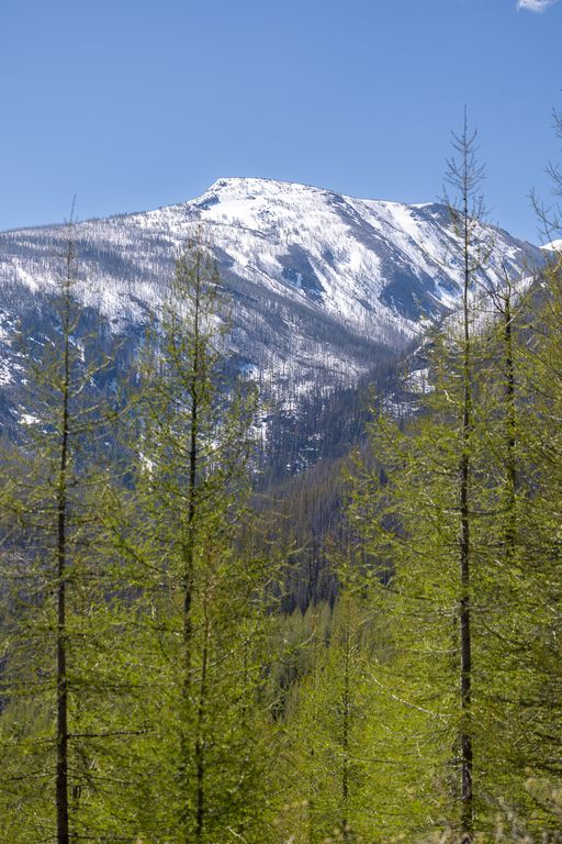 Lolo Peak Shadows, Lolo, MT 59847 photo 69