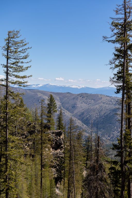 Lolo Peak Shadows, Lolo, MT 59847 photo 70