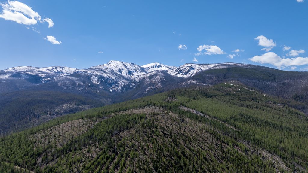 Lolo Peak Shadows, Lolo, MT 59847 photo 72