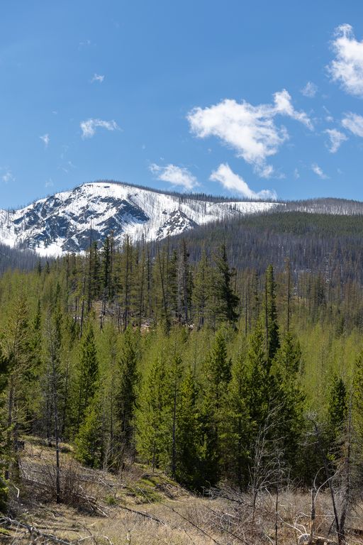 Lolo Peak Shadows, Lolo, MT 59847 photo 73