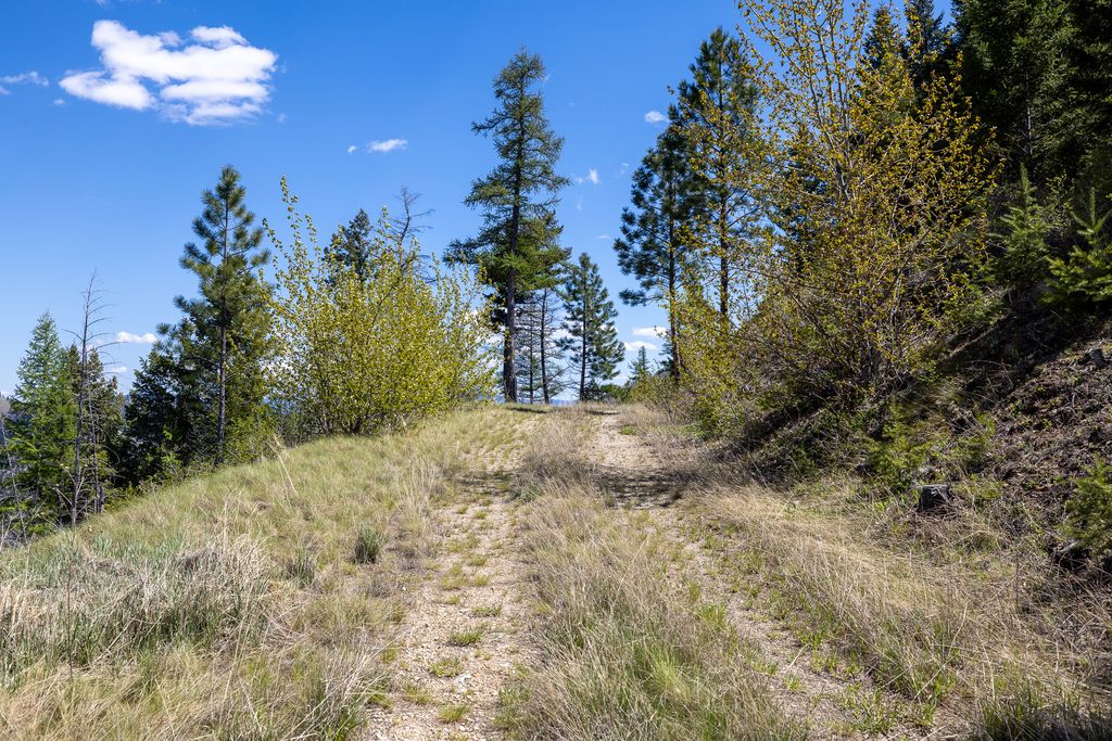 Lolo Peak Shadows, Lolo, MT 59847 photo 76