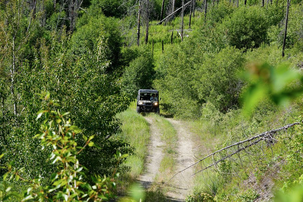 Lolo Peak Shadows, Lolo, MT 59847 photo 78
