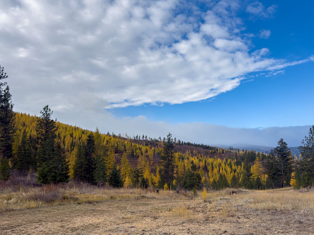 Lolo Peak Shadows, Lolo, MT 59847 photo 8