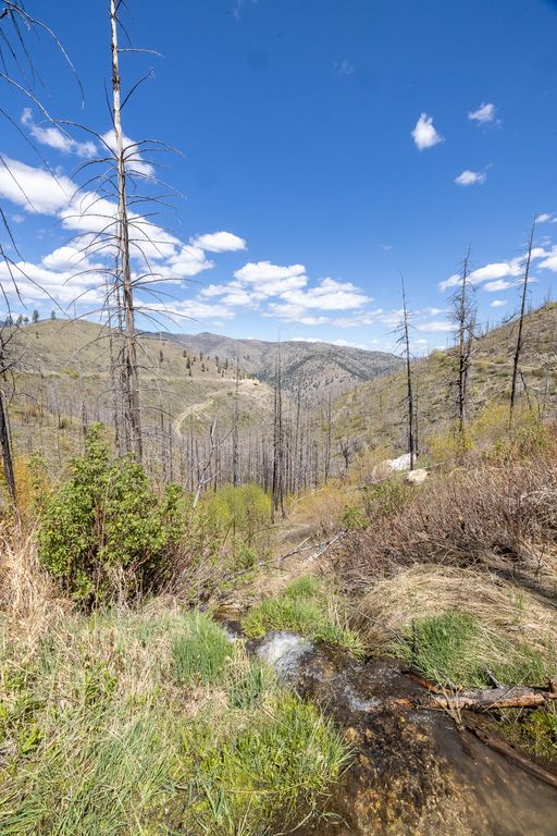 Lolo Peak Shadows, Lolo, MT 59847 photo 81