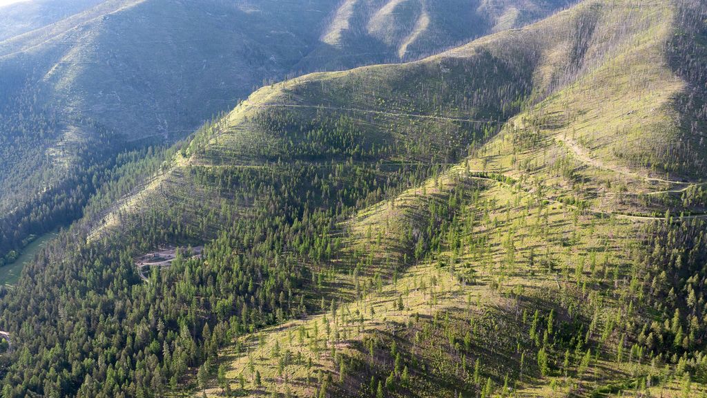 Lolo Peak Shadows, Lolo, MT 59847 photo 82