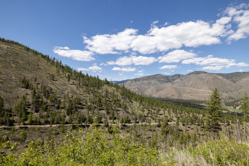 Lolo Peak Shadows, Lolo, MT 59847 photo 83