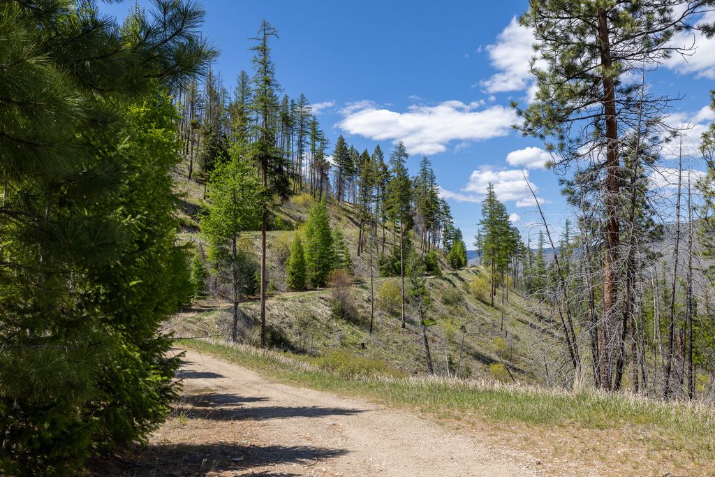 Lolo Peak Shadows, Lolo, MT 59847 photo 85