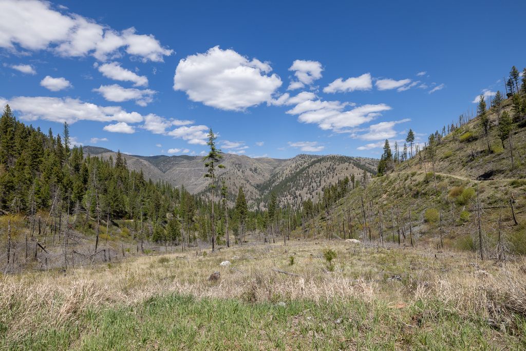 Lolo Peak Shadows, Lolo, MT 59847 photo 86