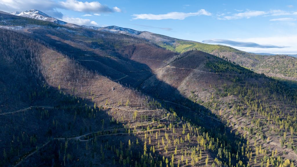 Lolo Peak Shadows, Lolo, MT 59847 photo 96