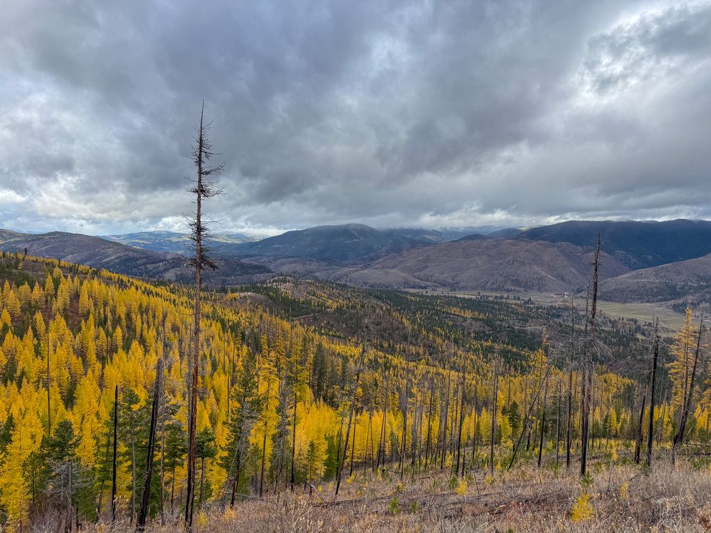 Lolo Peak Shadows, Lolo, MT 59847 photo 98