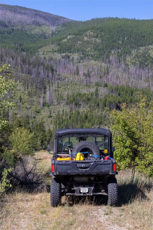 Lolo Peak Shadows, Lolo, MT 59847 photo 99