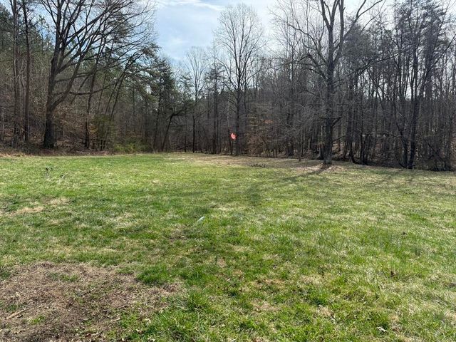 S 1136 County Line RD, Patrick Springs, VA 24133