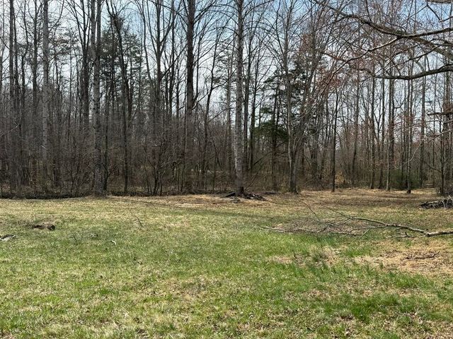 S 1136 County Line RD, Patrick Springs, VA 24133