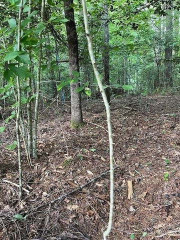 41 Mountain Brook Trail, Brevard, NC 28712