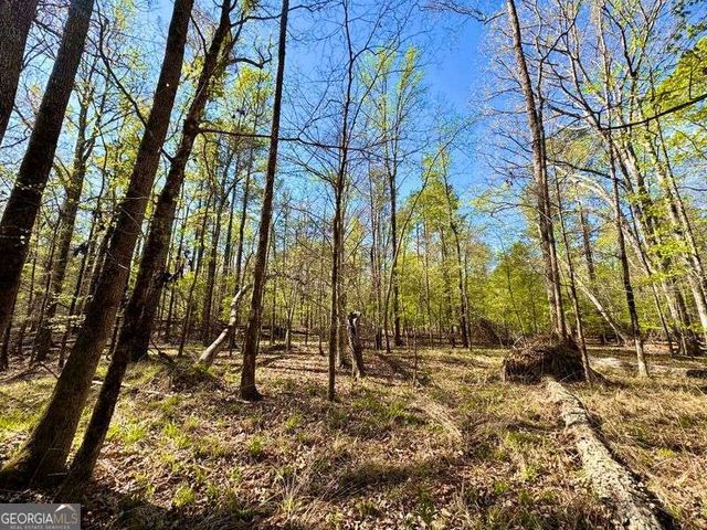 260 Black Springs Road NE, Milledgeville, GA 31061