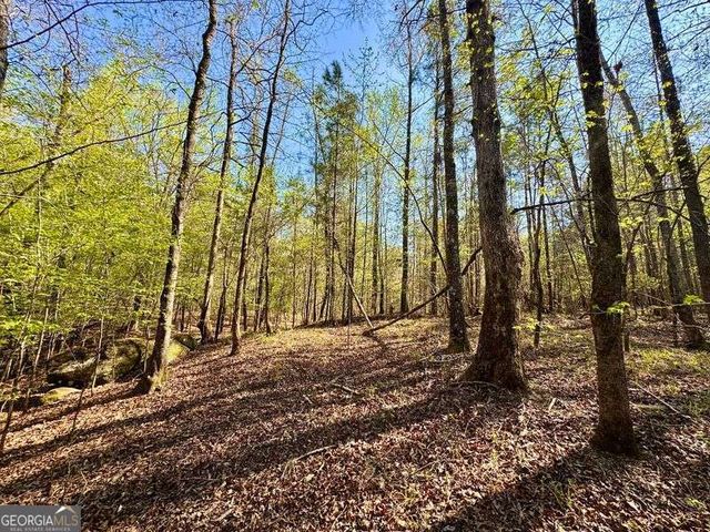 260 Black Springs Road NE, Milledgeville, GA 31061