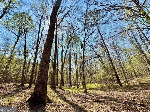 260 Black Springs Road NE, Milledgeville, GA 31061