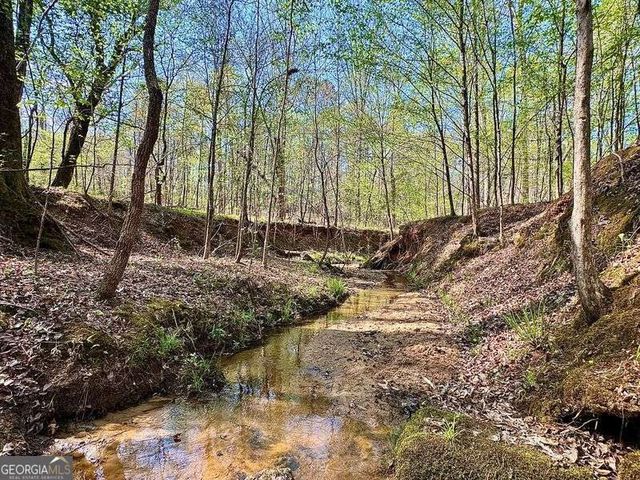 260 Black Springs Road NE, Milledgeville, GA 31061