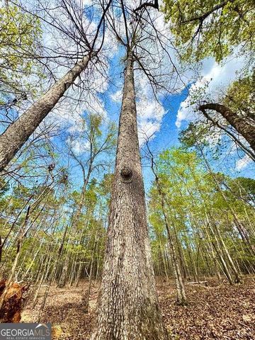 260 Black Springs Road NE, Milledgeville, GA 31061