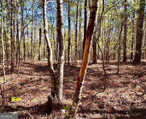 260 Black Springs Road NE, Milledgeville, GA 31061
