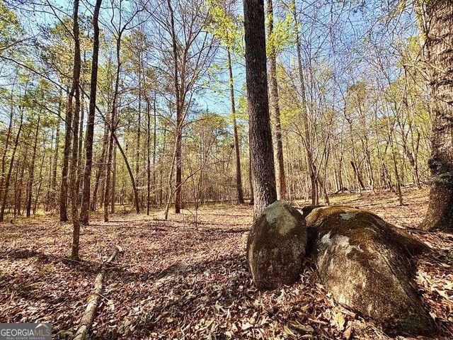 260 Black Springs Road NE, Milledgeville, GA 31061