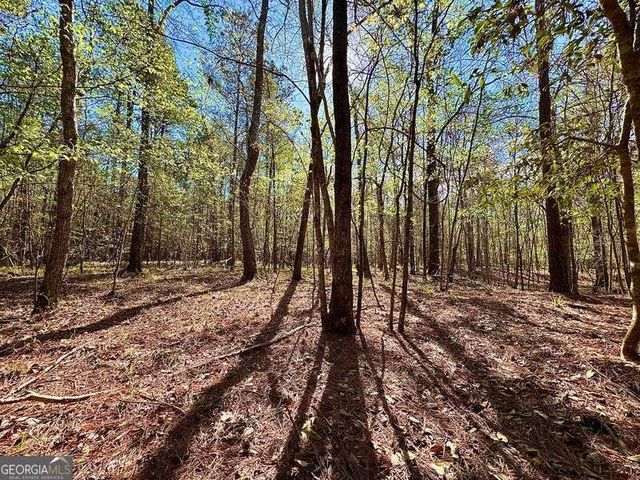 260 Black Springs Road NE, Milledgeville, GA 31061