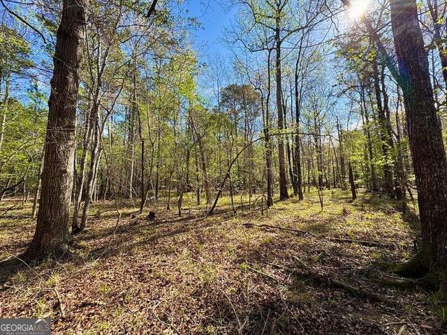 260 Black Springs Road NE, Milledgeville, GA 31061