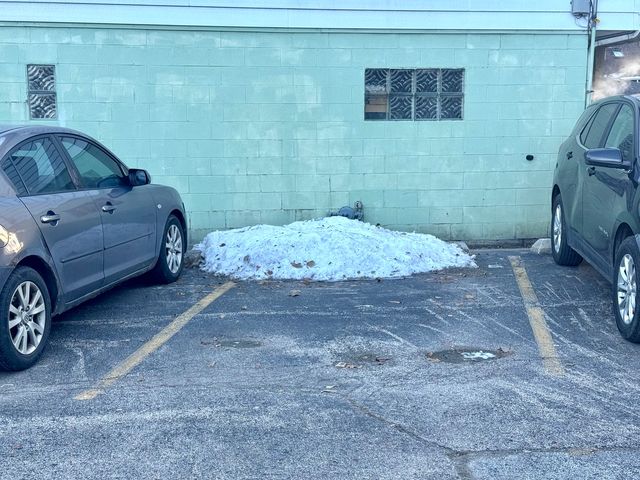 424 Elgin Avenue 8, Forest Park, IL 60130