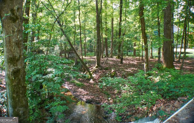 335 Winding Stream Trail, Hampton, GA 30228