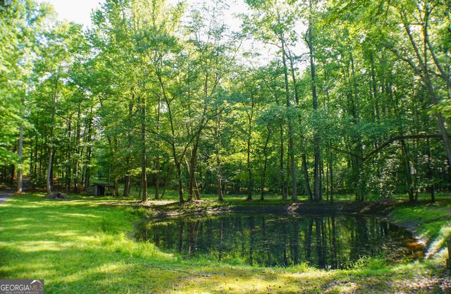 335 Winding Stream Trail, Hampton, GA 30228