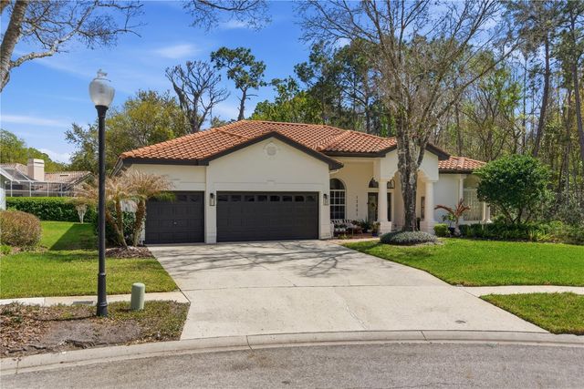 17701 GREY EAGLE ROAD, Tampa, FL 33647