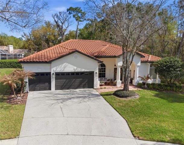 17701 GREY EAGLE ROAD, Tampa, FL 33647