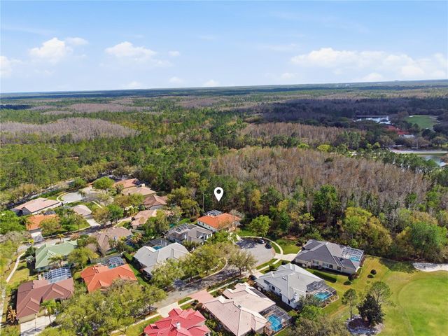 17701 GREY EAGLE ROAD, Tampa, FL 33647