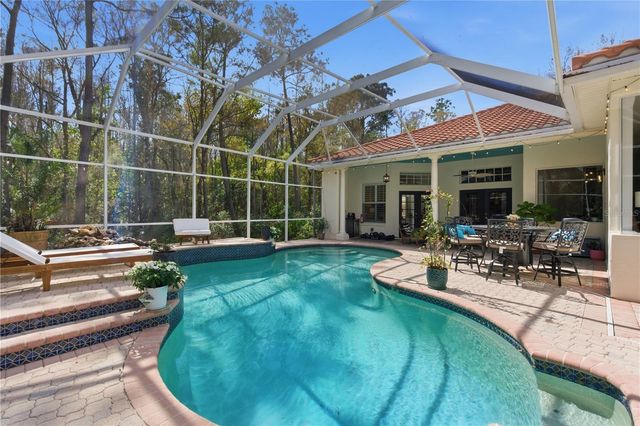 17701 GREY EAGLE ROAD, Tampa, FL 33647