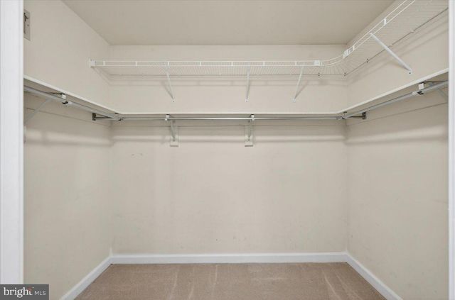 13509 OAK IVY LN, Fairfax, VA 22033