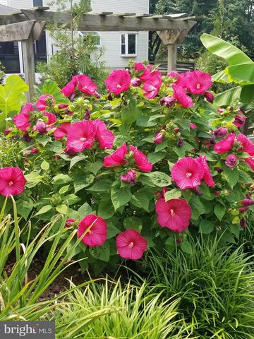 13509 OAK IVY LN, Fairfax, VA 22033