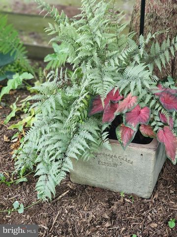 13509 OAK IVY LN, Fairfax, VA 22033