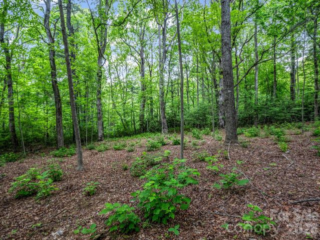 168 Tarnhill Drive, Flat Rock, NC 28731