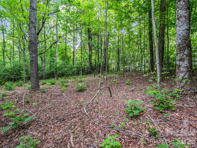 168 Tarnhill Drive, Flat Rock, NC 28731