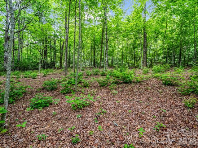 168 Tarnhill Drive, Flat Rock, NC 28731