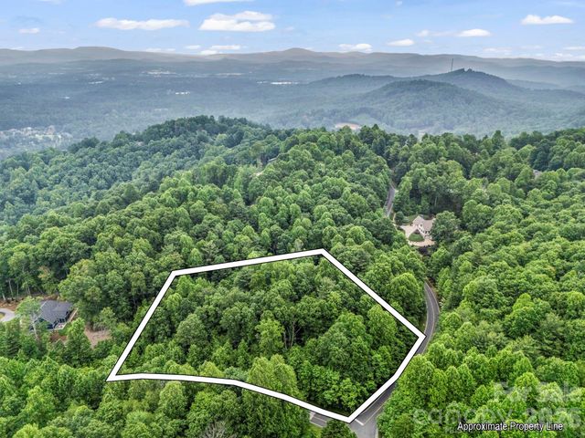 168 Tarnhill Drive, Flat Rock, NC 28731
