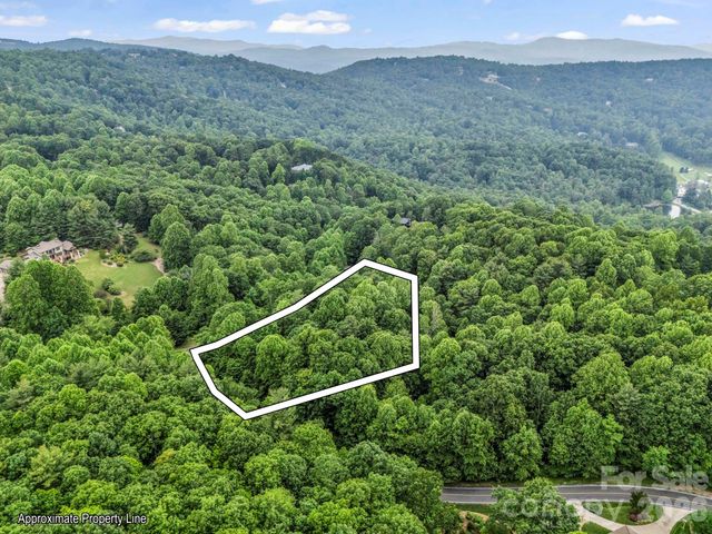168 Tarnhill Drive, Flat Rock, NC 28731
