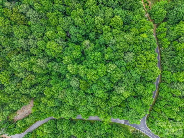 168 Tarnhill Drive, Flat Rock, NC 28731