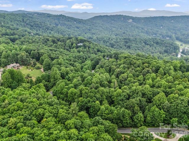 168 Tarnhill Drive, Flat Rock, NC 28731