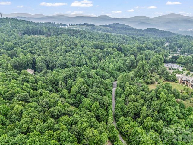 168 Tarnhill Drive, Flat Rock, NC 28731